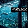 Discography 1993-2026
