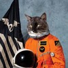 Surfing The Void (Limited Edition)