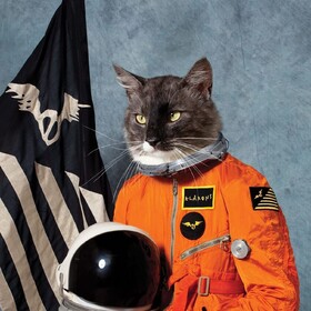 Surfing The Void (Limited Edition) Klaxons