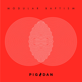 Modular Baptism Pig & Dan