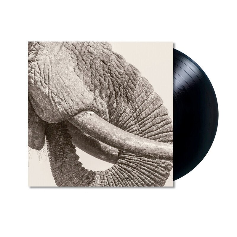 World Elephant Day