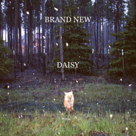Daisy Brand New