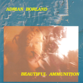 Beautiful Ammunition Adrian Borland