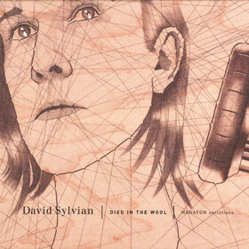 Died In The Wool - Manafon Variations David Sylvian