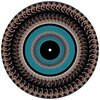 Radical Optimism (Zoetrope #1)
