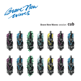 Brave New Waves Session Cub