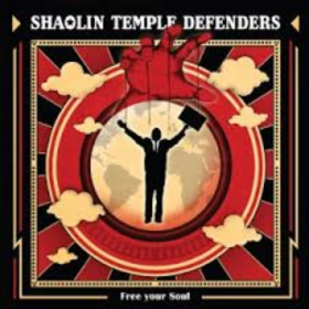 Free Your Soul Shaolin Temple Defenders