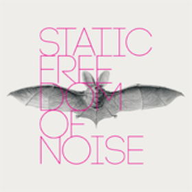 Freedom Of Noise Static