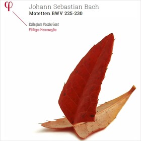Motetten BWV 225-230 J.S. Bach