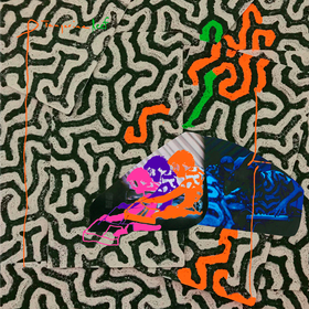 Tangerine Reef (Limited Edition) Animal Collective