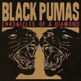 Chronicles of a Diamond (Amazon Exclusive) Black Pumas