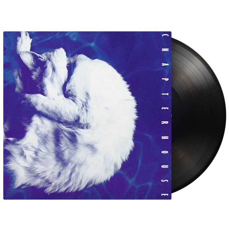 Whirlpool (2026 Reissue)