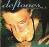 Around the fur