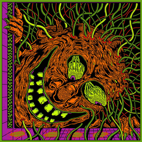 Live In Miami '24 King Gizzard And The Lizard Wizard