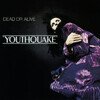 Youthquake (Limited Edition)
