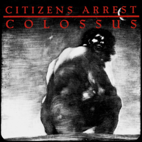 Colossus Citizens Arrest