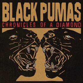 Chronicles of a Diamond (Indie Only) Black Pumas
