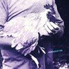 Catching Chickens EP