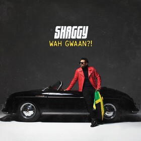 Wah Gwaan?! Shaggy