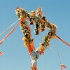 Flowers (Indie Exclusive)