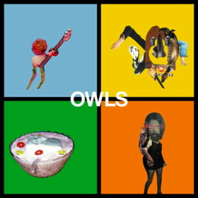 Owls Owls