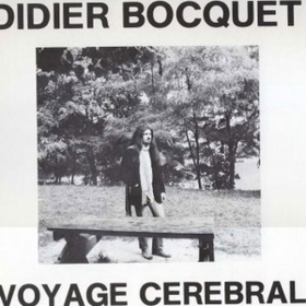 Voyage Cerebral Didier Bocquet