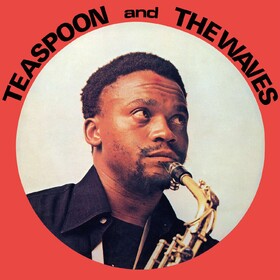 Teaspoon & The Waves Teaspoon & The Waves
