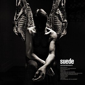 Antidepressants Suede