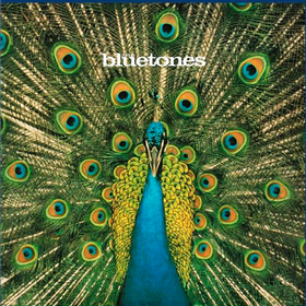 Expecting To Fly The Bluetones