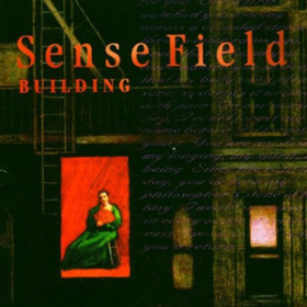 Building Sense Field