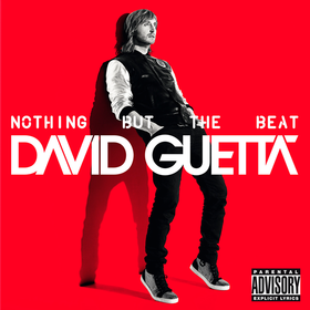 Nothing But The Beat David Guetta