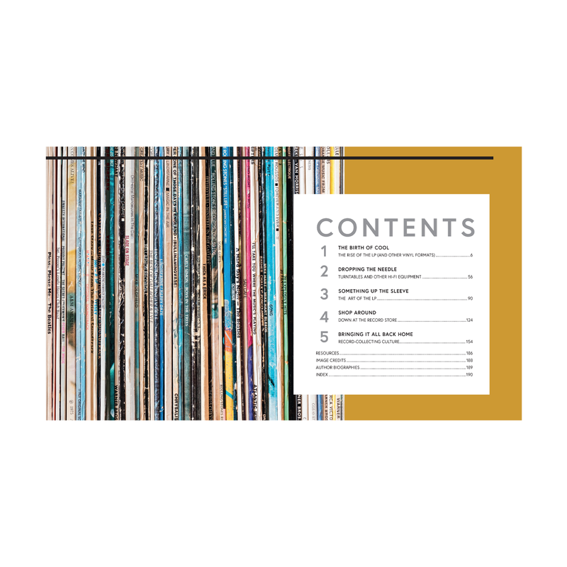 In the Groove: The Vinyl Record and Turntable Revolution