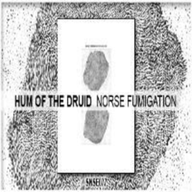 Norse Fumigation Hum Of The Druid