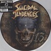 13 (Picture Disc)