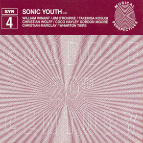 Goodbye 20th Century Sonic Youth