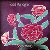 Something / Anything (Limited Edition)