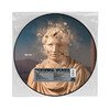Splinter (RSD 2024)