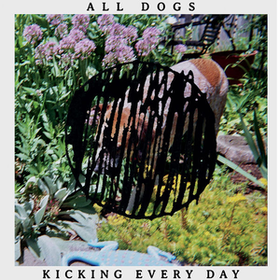 Kicking Every Day All Dogs