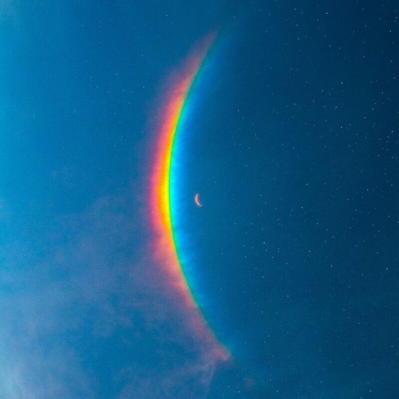 Moon Music (Zoetrope)