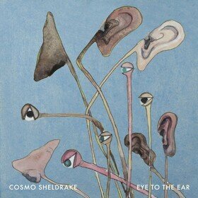 Eye To The Ear Cosmo Sheldrake