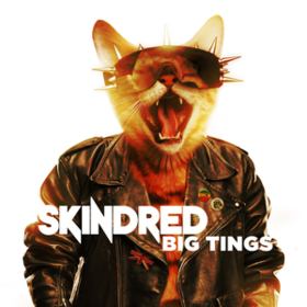 Big Tings Skindred