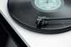 Primary E Phono OM NN White