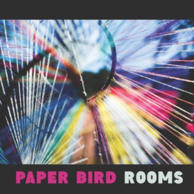 Rooms Paper Bird