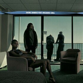 Post Orgasmic Chill (Limited Edition) Skunk Anansie