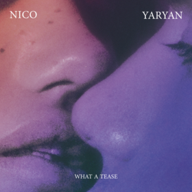 What A Tease Nico Yaryan