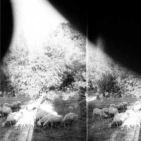 Asunder, Sweet And Other Distress Godspeed You Black Emperor