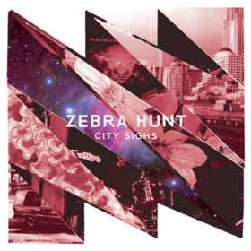 City Sighs Zebra Hunt