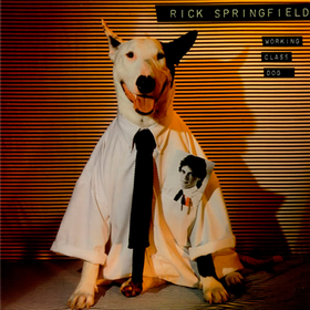 Working Class Dog Rick Springfield