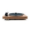 MMF-7.3 SE Walnut (2M Bronze)