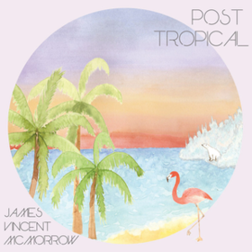 Post Tropical James Vincent Mcmorrow